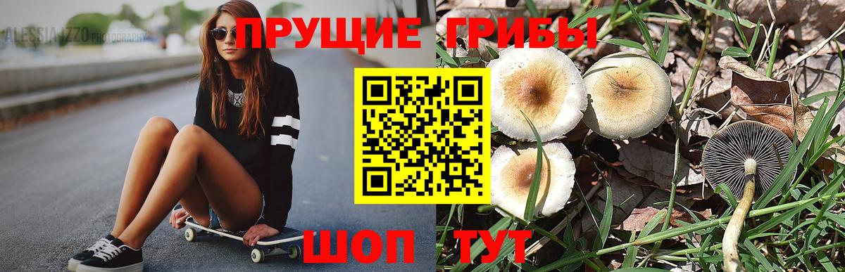 Псилоцибиновые грибы GOLDEN TEACHER Лангепас